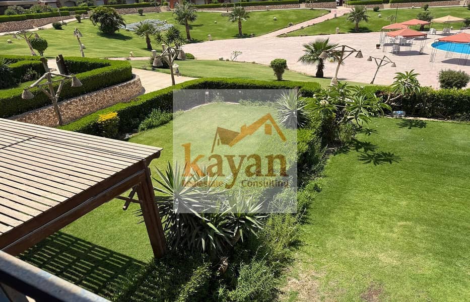 6 ae28cad7-d93a-48b9-a4cd-1eb22809ee41. jpg