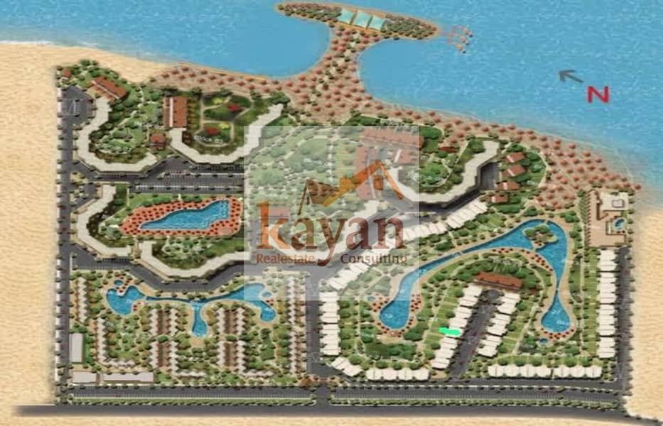 14 e6966de1-100c-4b94-994a-7f4bc2656ef8. jpg