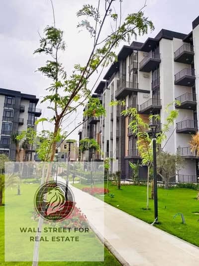 3 Bedroom Flat for Sale in Madinaty, Cairo - WhatsApp Image 2025-11-08 at 11.51. 13 AM. jpeg