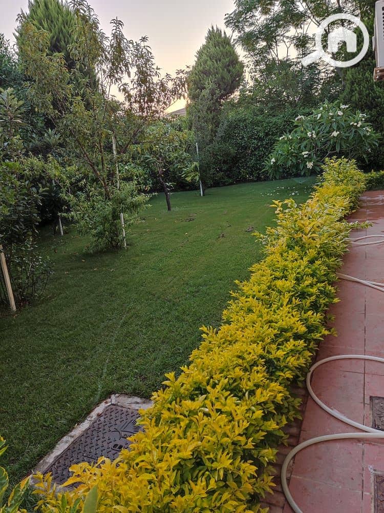 11 97d9d7b0-b820-4374-a5ac-8a981004edd3. jpg