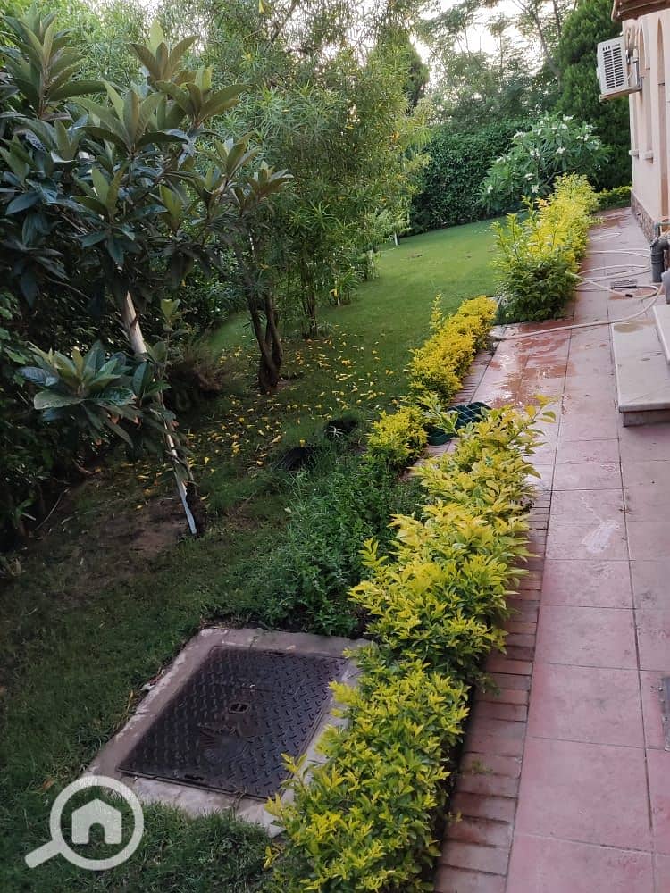 13 528dd84e-798c-4a1f-bd6c-5c441787f4dc. jpg