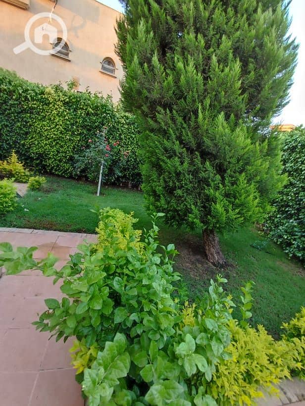 17 851015ef-0fe8-4971-af0b-bcef040d07f2. jpg