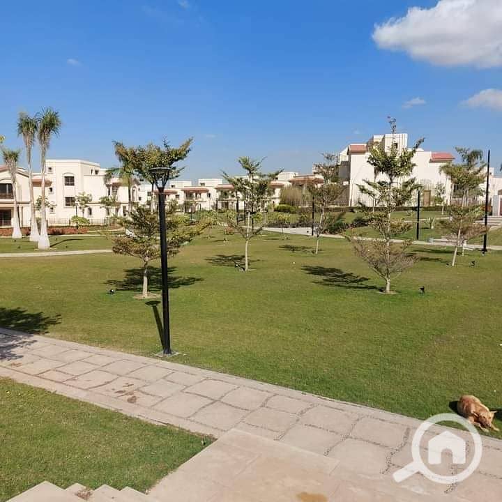 5 09bf748a-e170-45bc-af43-00428b36fef7. jpg