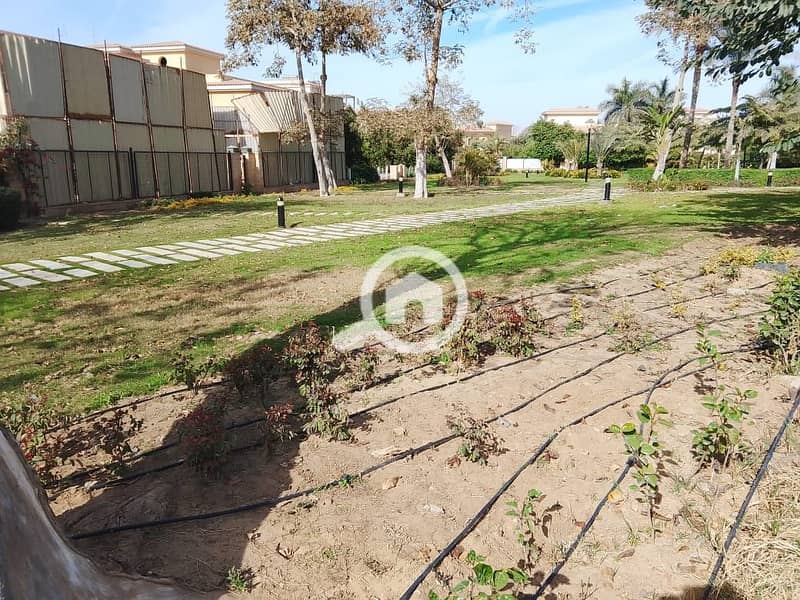 2 00da25d7-6697-4dc7-b3f4-4b3ba0e7408a. jpeg