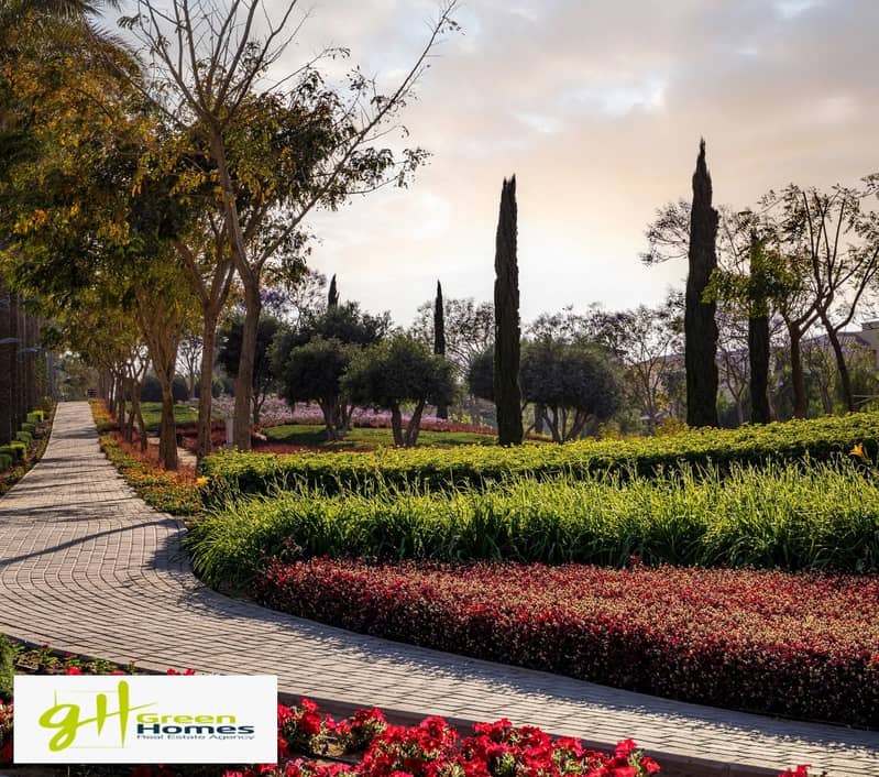 2 WhatsApp Image 2024-08-18 at 2.27. 52 PM (1). jpeg