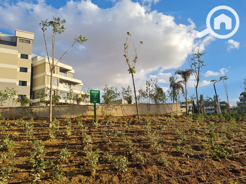 4 WhatsApp Image 2022-11-25 at 4.16. 00 PM (3). jpeg