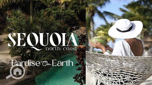 2 سيكويا-الساحل-الشمالي-Sequoia-North-Coast. jpg