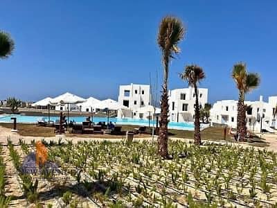 7 WhatsApp Image 2025-12-09 at 15.19. 22_f522d408. jpg