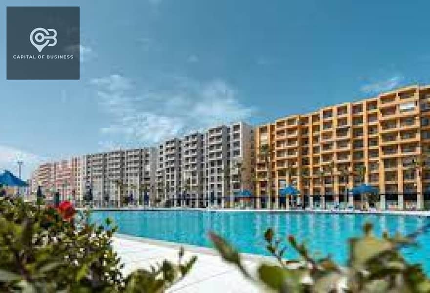 4 54fe5868-c5f8-4e4a-adf7-57d18c9524c9. jpg