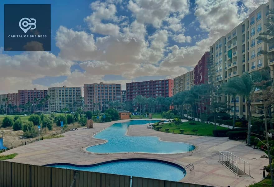 5 986480fd-397d-458a-aae0-ea8be2946ea3. jpg