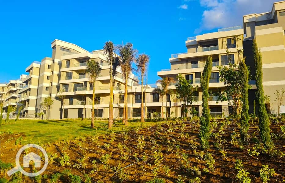 7 WhatsApp Image 2025-12-09 at 12.35. 00 PM. jpeg