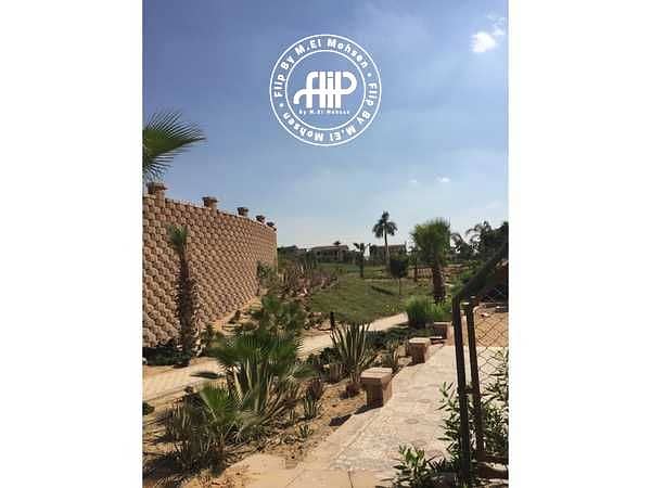 5 bvDnNzFnP2REbiPe5UmggVGBdc1iqd68e28Is58w. jpeg