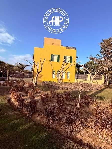 7 b6DVK7xMu8R61IVVKALesWtdotDVM04H8cjLMZar. jpeg