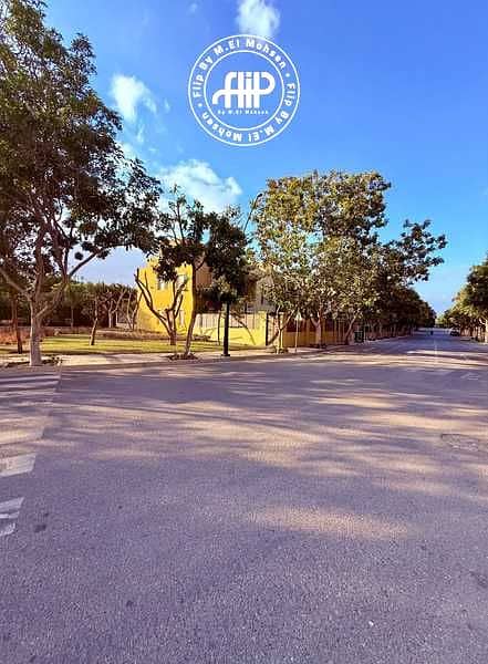 15 XDn4yCqFV4SnCAnwKrY9ocXlw2nBJb4QdRupujhp. jpeg