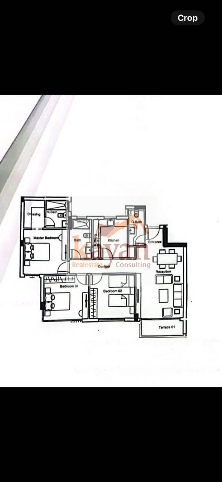 6 33d3ba81-1ec9-40ae-a62c-856eda83a68e. jpg