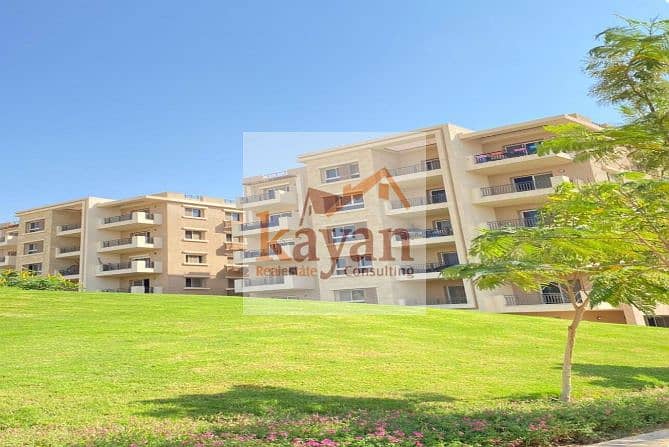 3 Screenshot 2025-12-14 113645. png