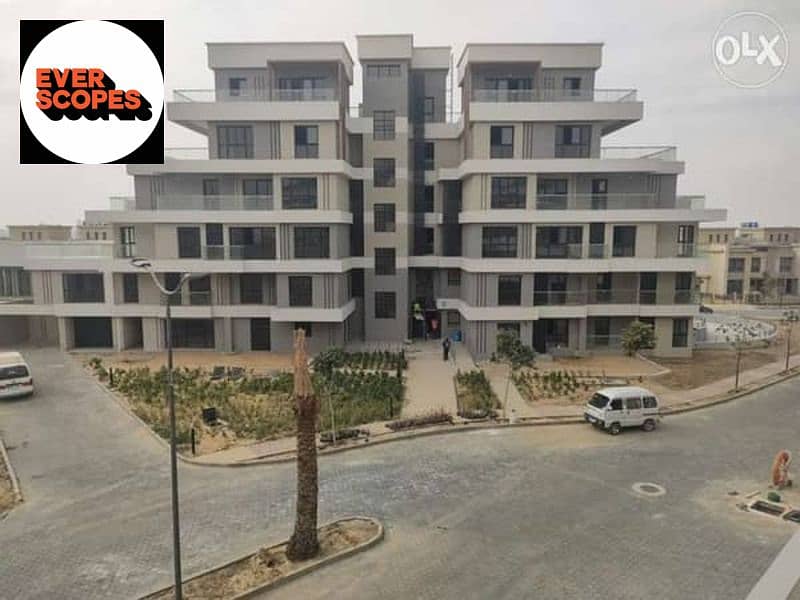 4 20103612-600x450. jpeg