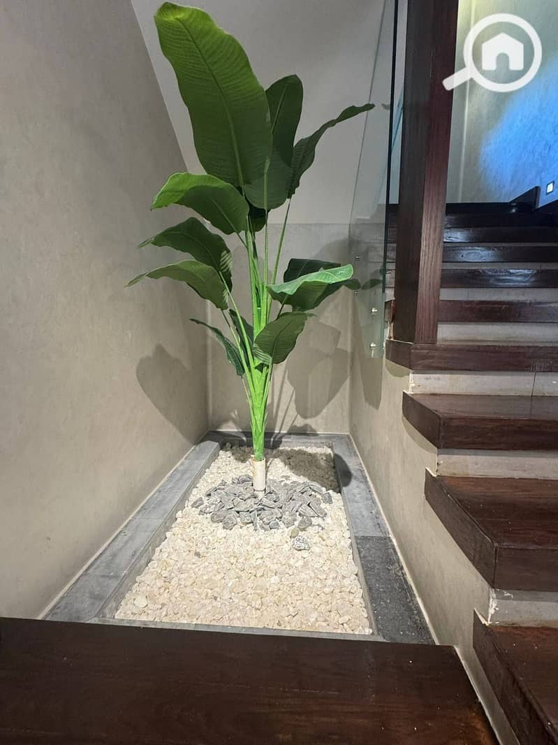 20 591747168_122304277472228254_5153665556239856768_n. jpg