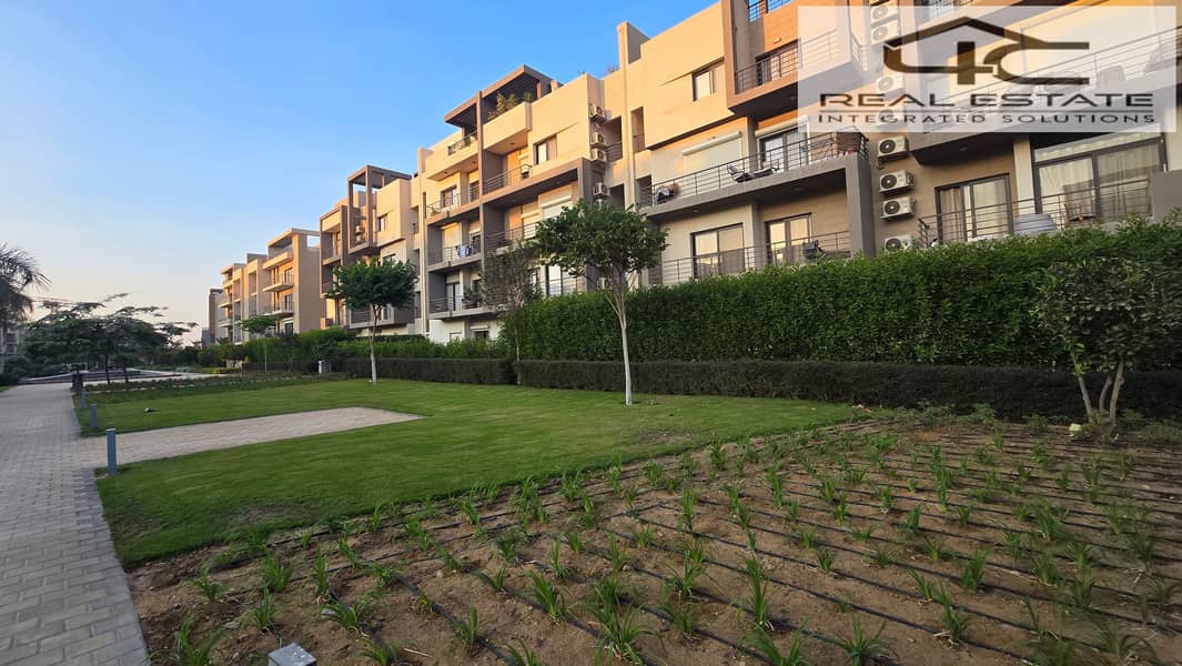 9 20251117_162149. jpg