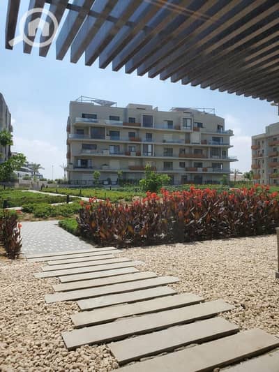 بنتهاوس 4 غرف نوم للايجار في القاهرة الجديدة، القاهرة - WhatsApp Image 2025-12-15 at 8.07. 17 PM (1). jpeg