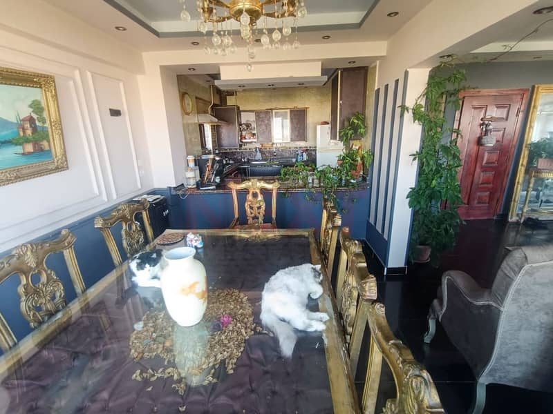 10 WhatsApp Image 2025-12-15 at 1.31. 21 PM (1). jpg