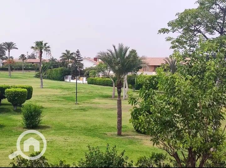 4 IMG_٢٠٢٥٠٣٢٠_١٢٥١٠١. jpg