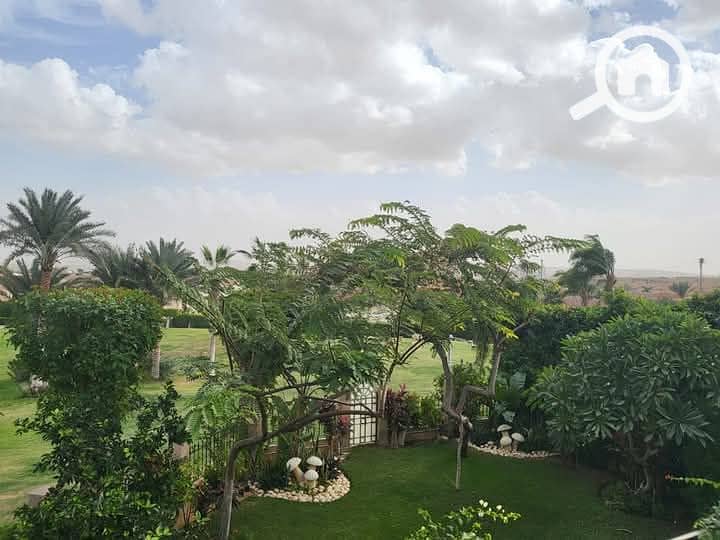 7 FB_IMG_1742467046135. jpg