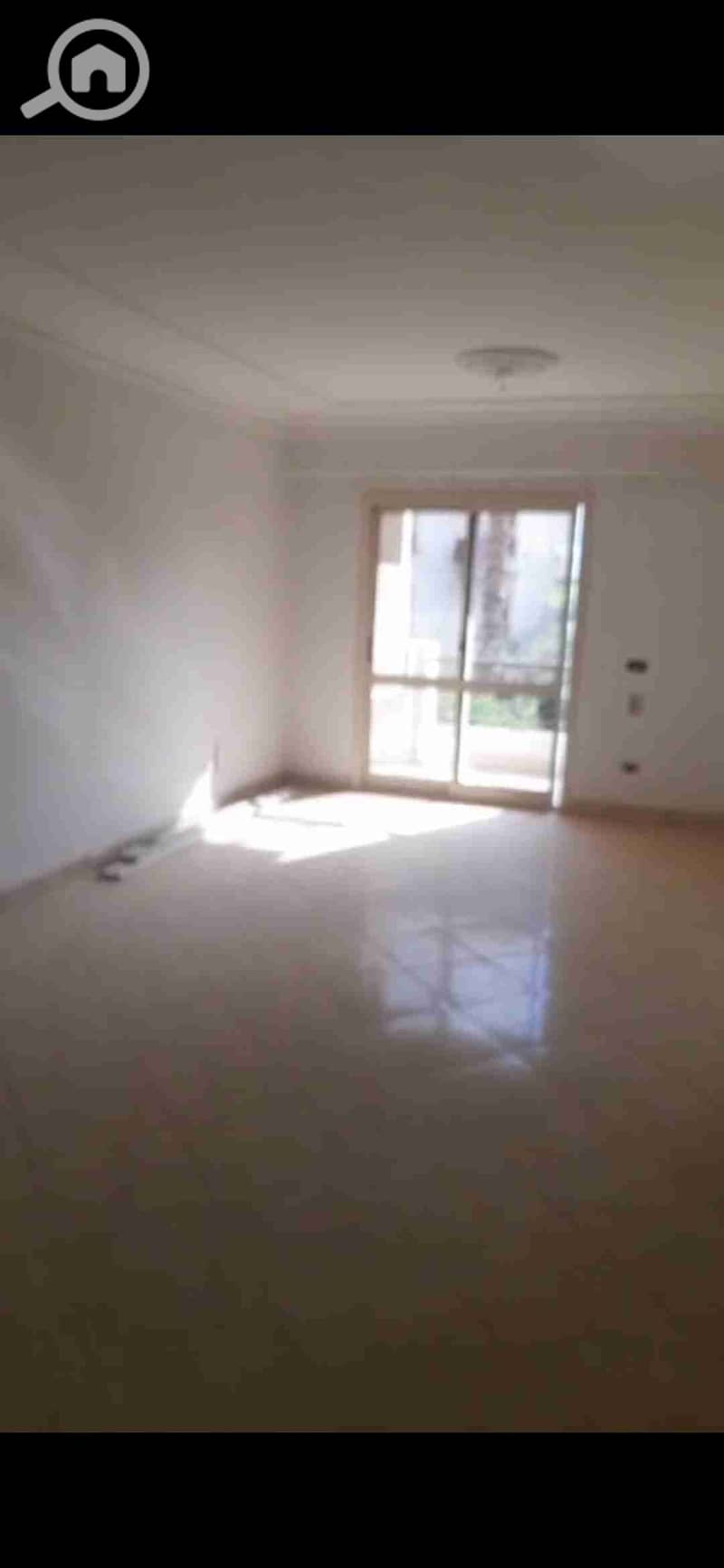 1000582919. jpg 1000582919. jpg