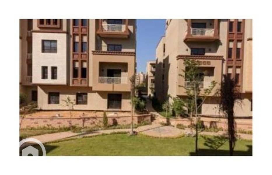 7f1a2404-f2b0-11ef-925c-628efce9aeb2. jpg 7f1a2404-f2b0-11ef-925c-628efce9aeb2. jpg