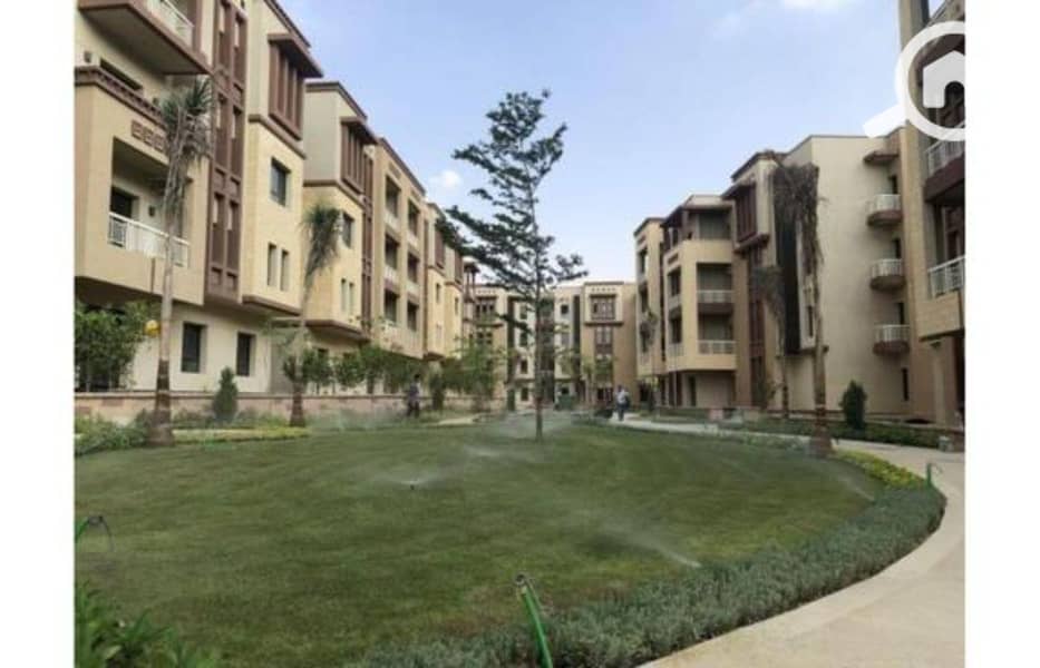 3 80db61d0-f2b0-11ef-80af-6e98d4e18bc2. jpg