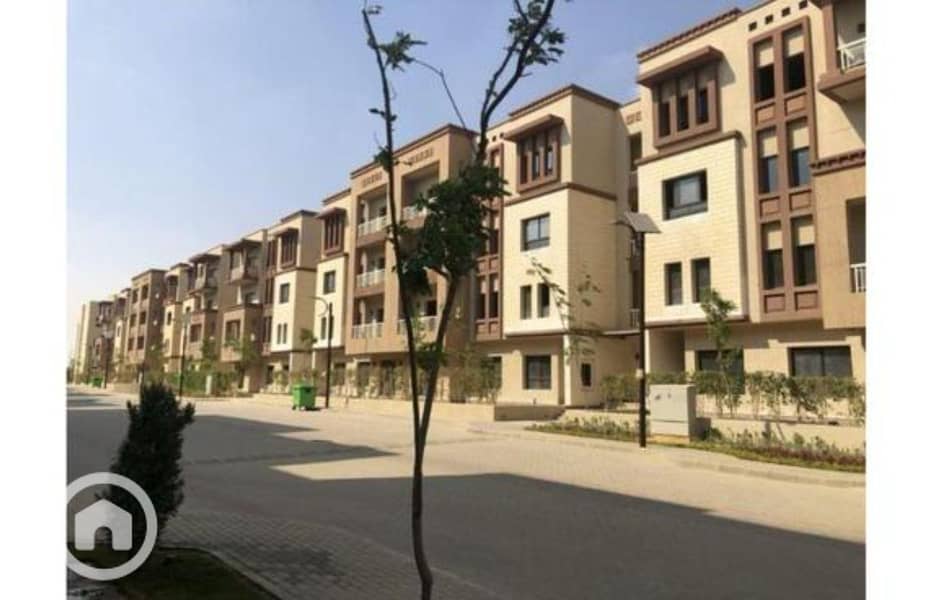 10 8143304e-f2b0-11ef-b74e-dec5a265a425. jpg