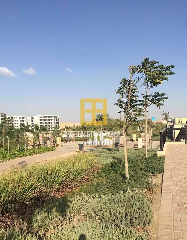 8 dbf63e11-5a53-4f46-8adf-9f7e9f91bc7e. jpg