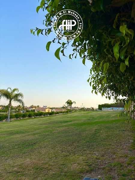 11 OfOpN7i5eP9iS8Sci3KrCRNOkYFSmG3bqn75dWuJ. jpeg