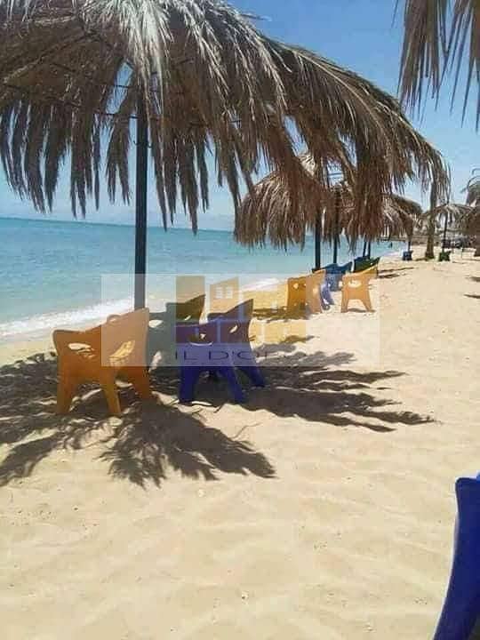 10 WhatsApp Image 2025-12-16 at 1.41. 46 PM. jpeg