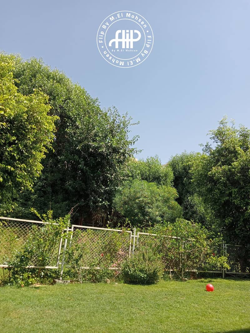 6 IMG-20250722-WA0009. jpg