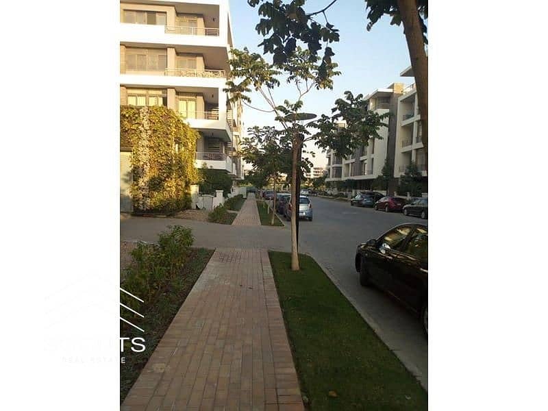 8 38253e2a-c91e-4c42-82f9-b7aac20491b3. jpg