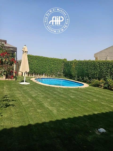 13 IMG-20251124-WA0013. png