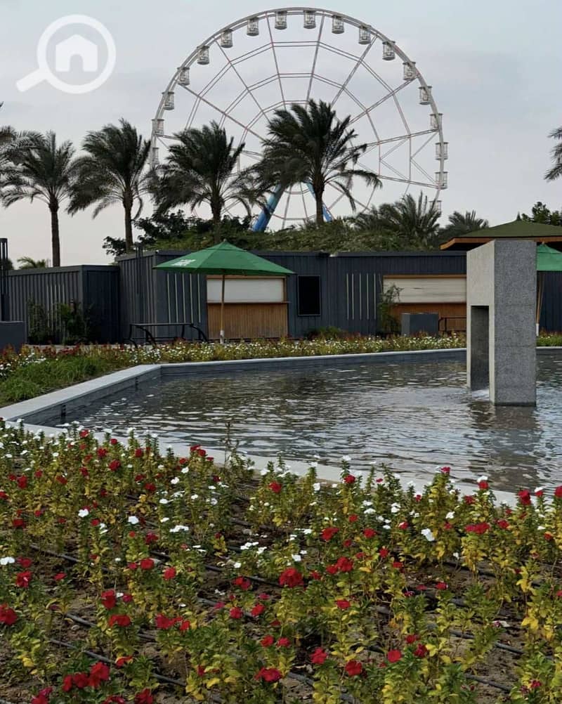 5 09c3d548-c1fb-4c0b-9a26-7c825e344ba0. jpg