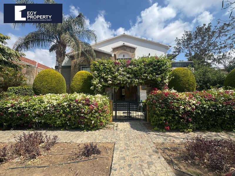 591680436_122134930298965899_5725665974816937757_n. jpg 591680436_122134930298965899_5725665974816937757_n. jpg