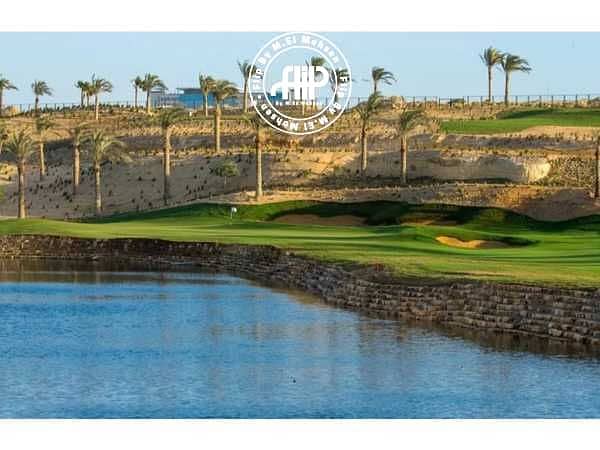 3 9pEozpPFsZGtE4N5WwqSkcbedCUvWhhfzT7eYvtV. jpeg