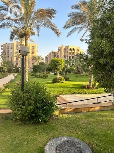 استوديو  للايجار في القاهرة الجديدة، القاهرة - 64d8eaca-6c2b-4e04-9da8-c3107047be23. jpeg