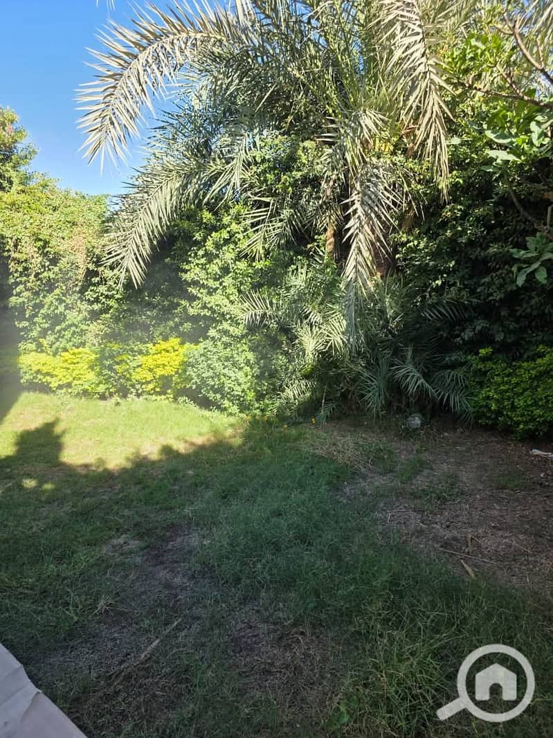 7 8e67fc8e-6d9e-495d-a4ab-21f07afe94c6. jpeg