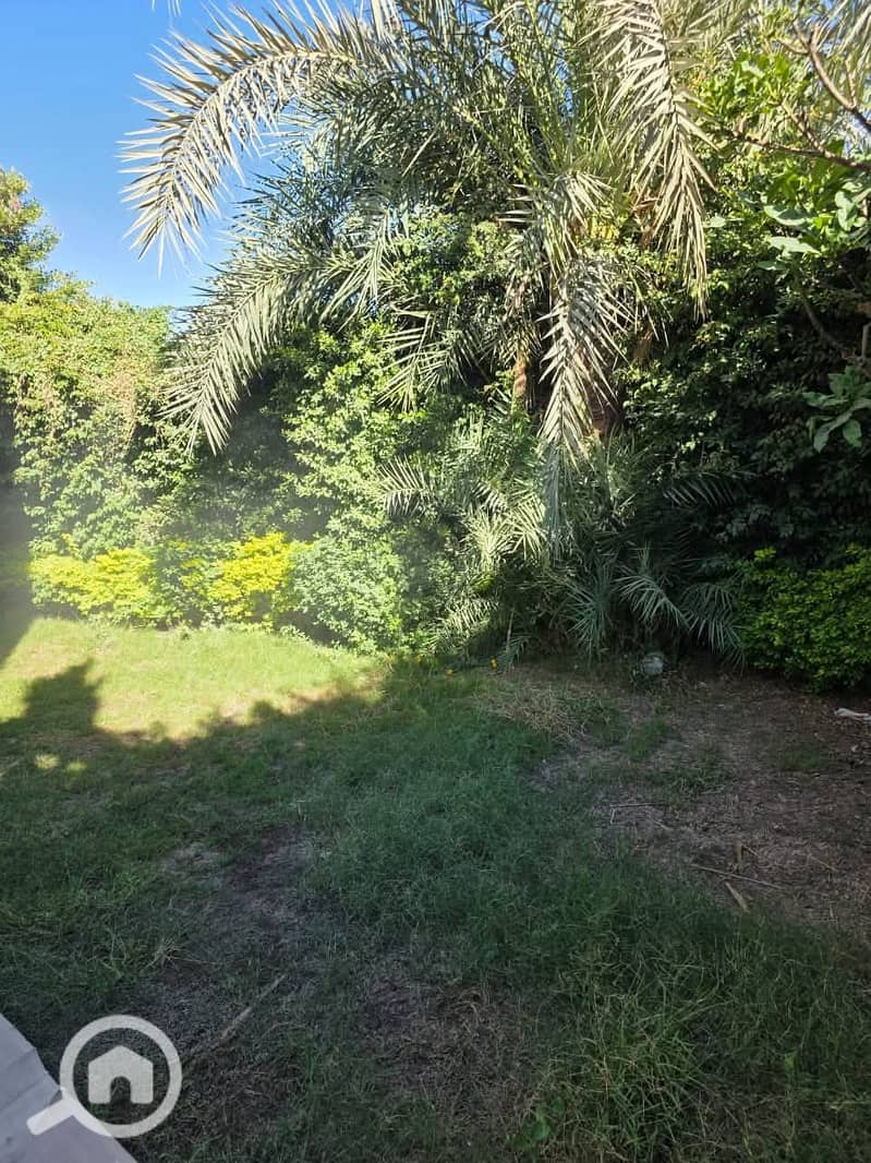 7 8e67fc8e-6d9e-495d-a4ab-21f07afe94c6. jpeg