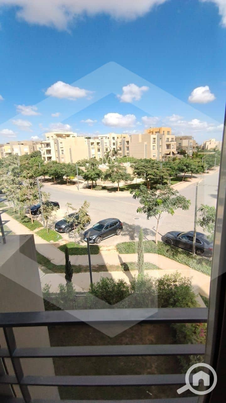 10 Palm Parks 10. jpg