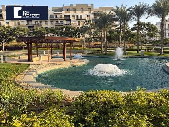 7 590353808_122278413644207753_7088734923671266462_n. jpg