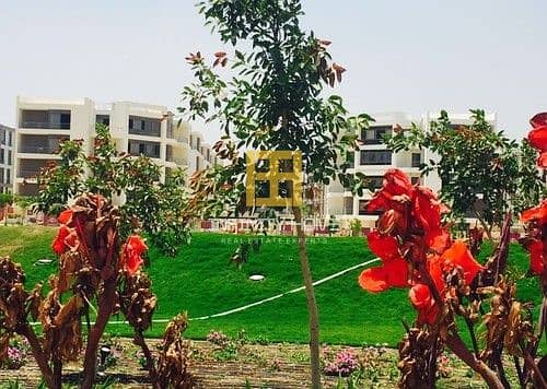 7 355801-95f5do. jpg