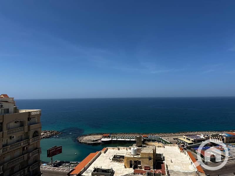 4 WhatsApp Image 2025-12-08 at 12.38. 32 PM. jpeg