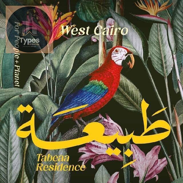 9 WhatsApp Image 2025-12-16 at 3.45. 08 PM. jpeg