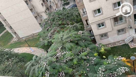 3 Bedroom Flat for Sale in Madinaty, Cairo - 1000507160. jpg