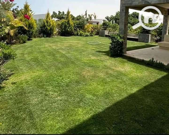 10 FB_IMG_1744513487780. jpg